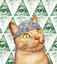 Cat_in_tinfoil_hat